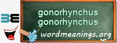 WordMeaning blackboard for gonorhynchus gonorhynchus